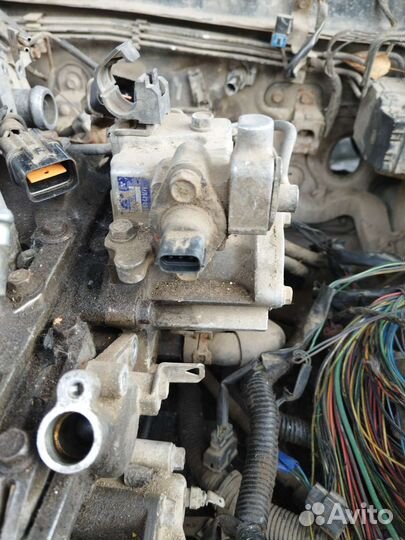 Тнвд mitsubishi galant