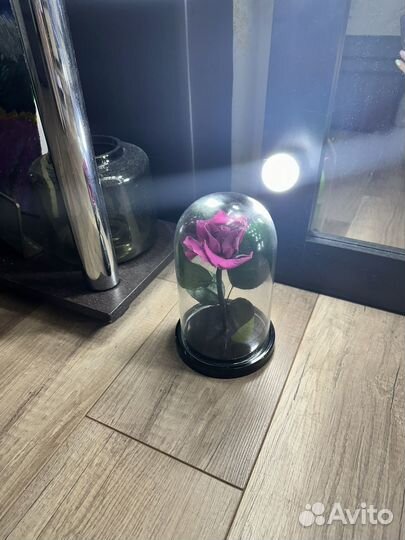 Стабилизированная роза в колбе фуксия