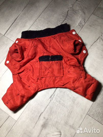 Комбинезоны для маленькой собачки