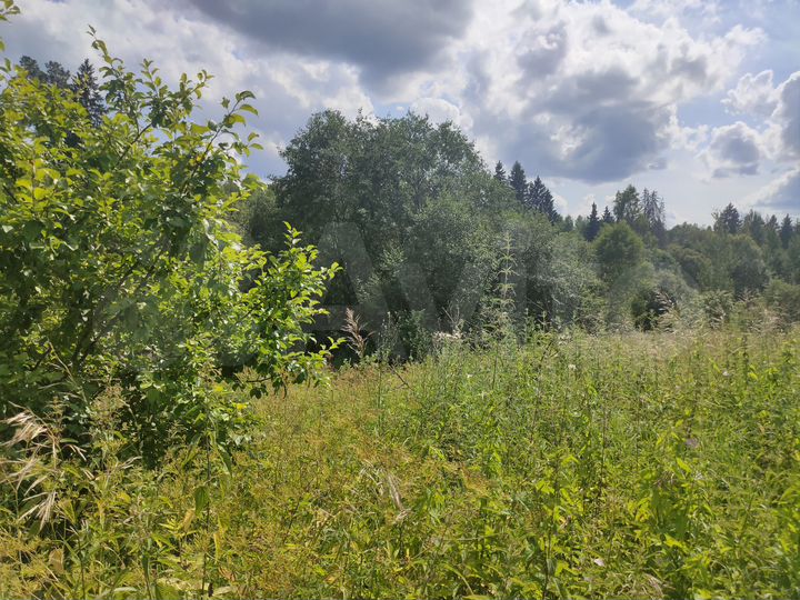 Участок 15 сот. (ИЖС)