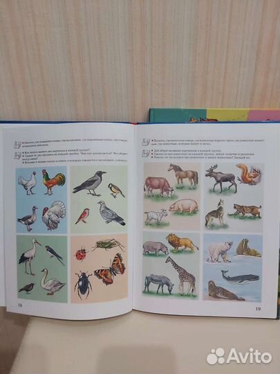 Уроки логопеда,Развиваем мышление