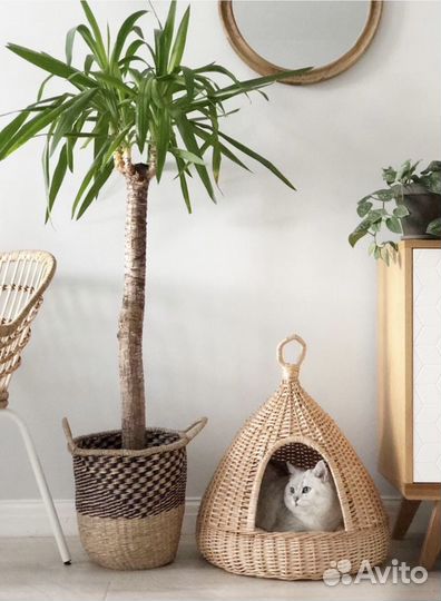 Домик для кошки