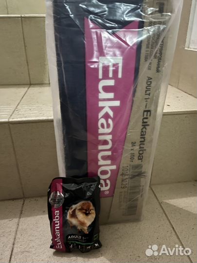 Корм для шпицев влажный Eukanuba