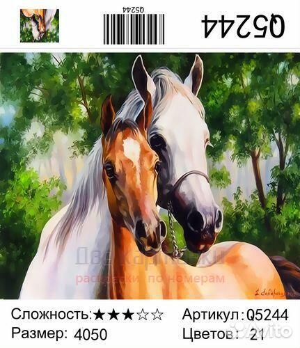 Картина по номерам 40x50 Белая лошадь и рыжий жере