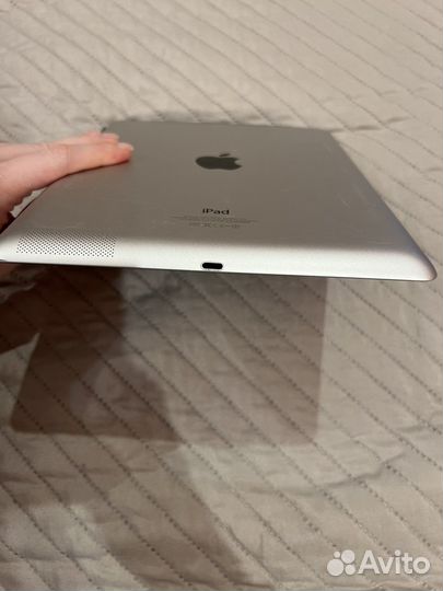 iPad