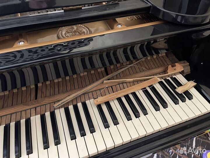 Рояль С. Bechstein