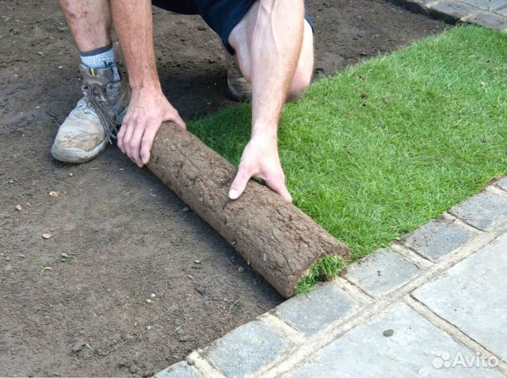 Укладка рулонного газона под ключ