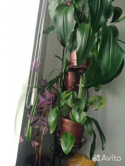 Отличная подставка 9-ти этажная вместе с цветами и