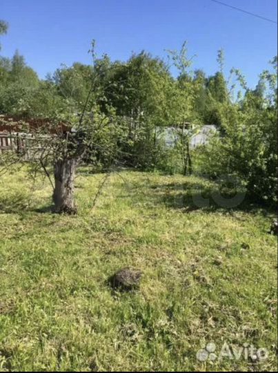 Участок 6,2 сот. (СНТ, ДНП)