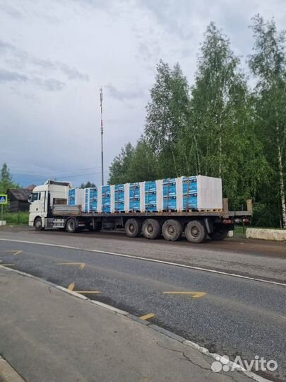 Строительные и перегородочные блоки Бонолит