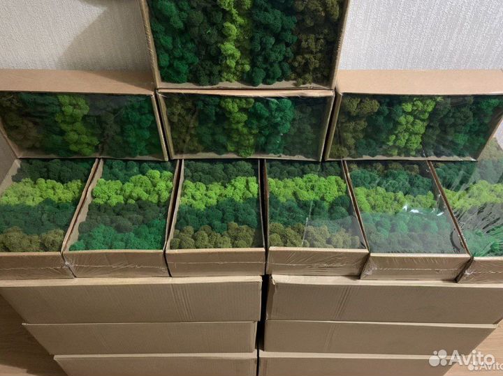 Стабилизированный мох, розница опт