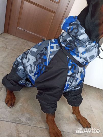 Комбинезон для собаки