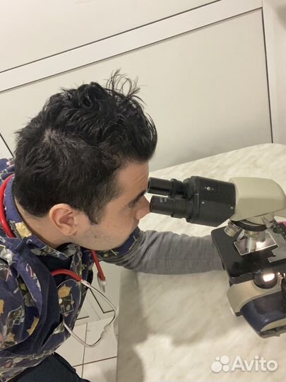 Кастрация кота на дому