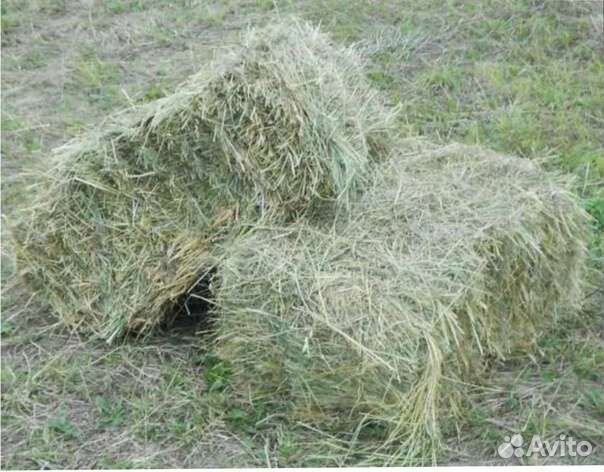 Сено луговое