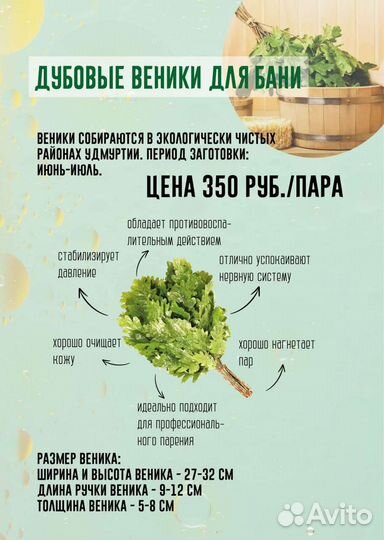 Веники дубовые