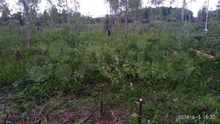 Участок 20 сот. (ИЖС)