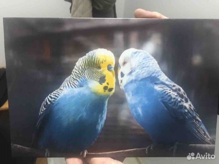 Керамическая плитка с любым изображением