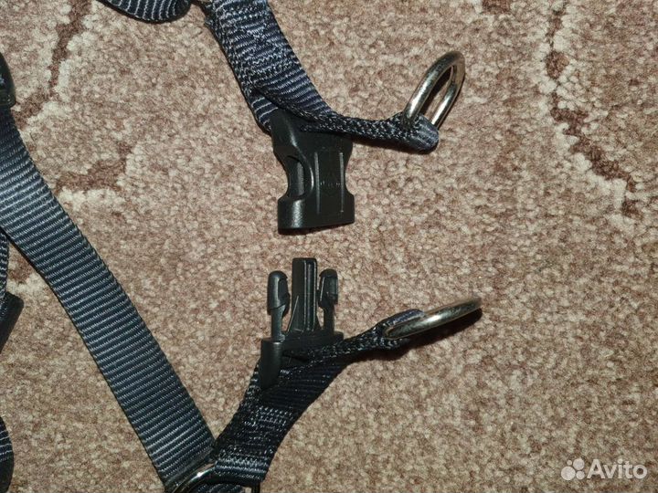 Шлейка для собаки