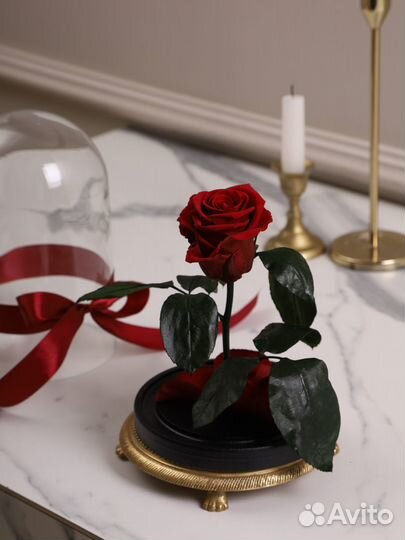 Розы оптом и в розницу