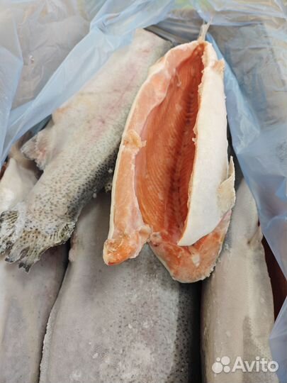 Форель норвежская премиум крупная
