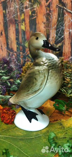 Утка чирок фарфоровая статуэтка