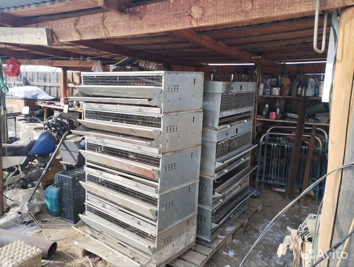 Клетки для перепелов