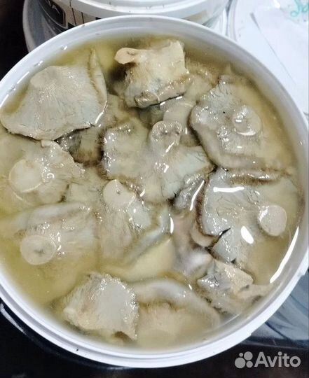 Продам груздь соленый