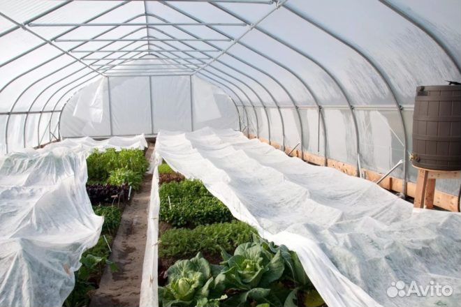 Спанбонд укрывной материал белый 60 уф 1,6x10