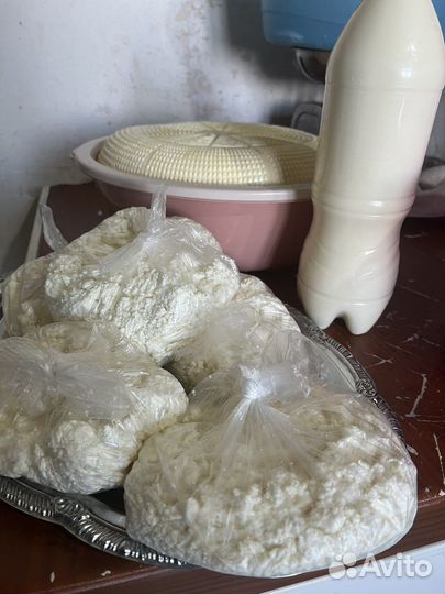 Домашняя молочная продукция