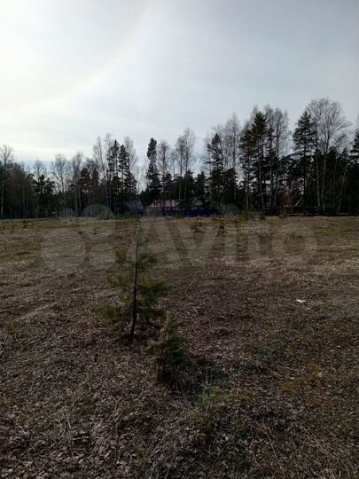 Участок 13 сот. (ИЖС)