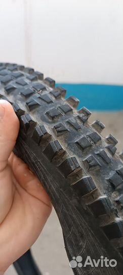 Покрышки для велосипеда 29 WTB trail boss