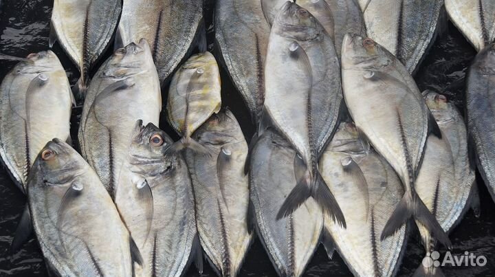 Рыбный магазин в популярной локации – ваш шанс на