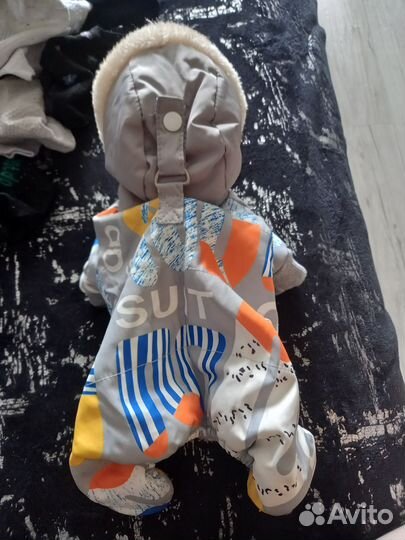 Костюмчик для собаки