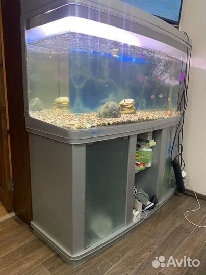 Аквариум тумба