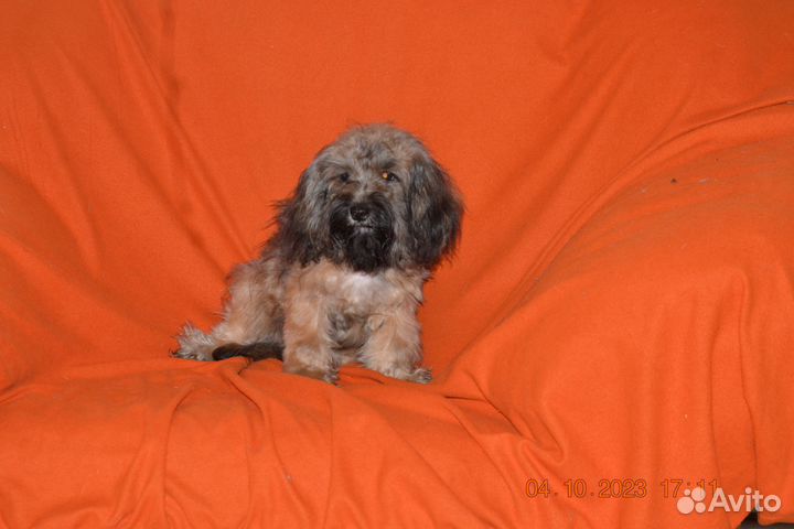 Очаровательный мальчик