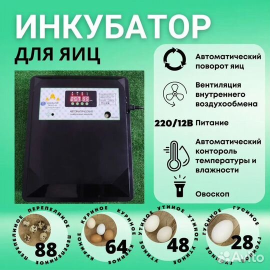Инкубатор на 64 яйца