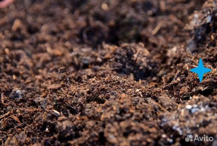 Навоз и перегной