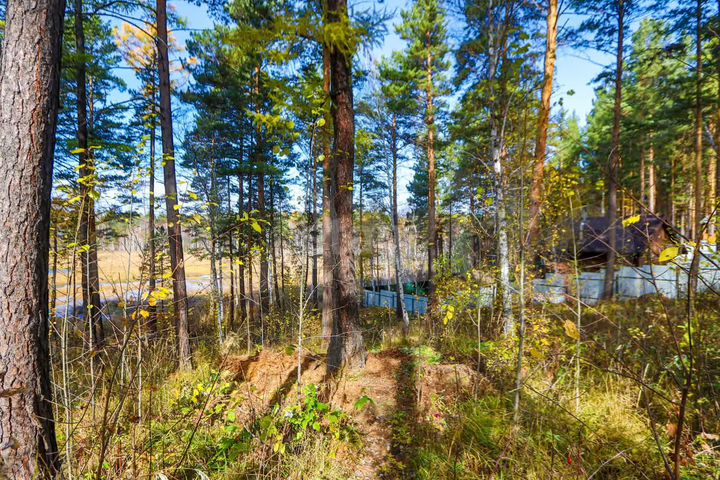 Участок 13,3 сот. (СНТ, ДНП)