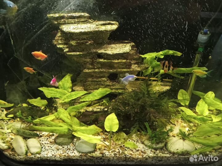 Аквариум с тумбой 120 литров