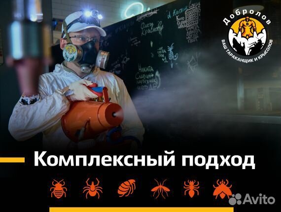 Уничтожение тараканов и клопов. Дезинсекция