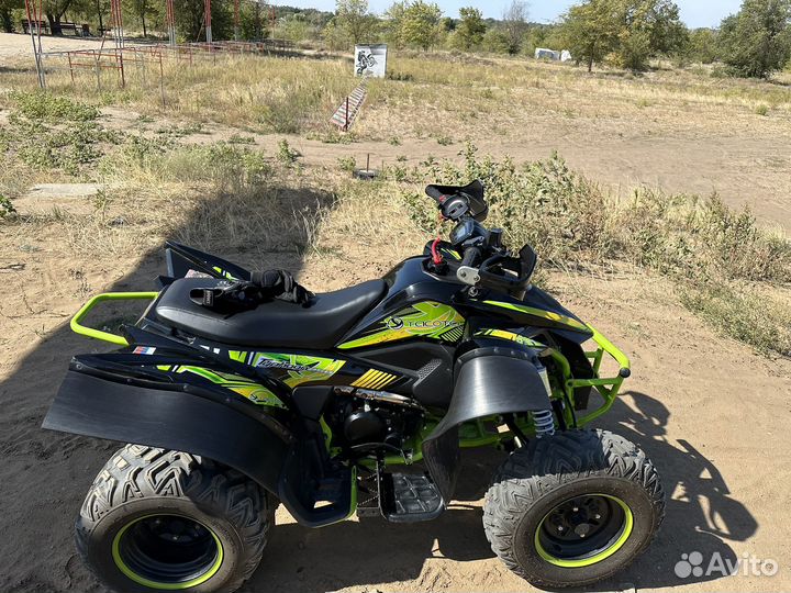 Квадроцикл ATV Yacota Typhoon 250