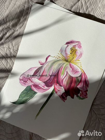 Цветы акварелью картина подарок