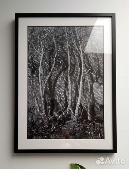 Авторская фотография в интерьер