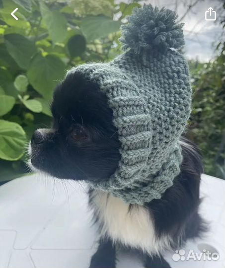 Шапочка для собак новая