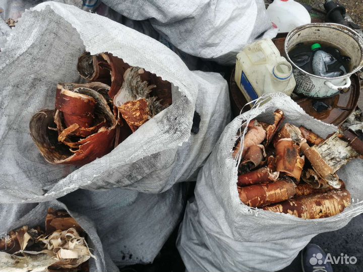 Береста для розжига