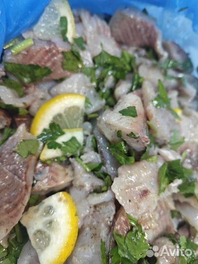 Сугудай из Северной рыбки