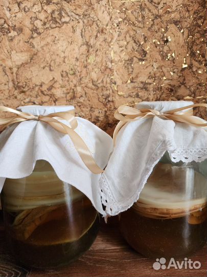 Чайный гриб