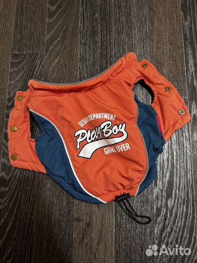 Костюм для щенка