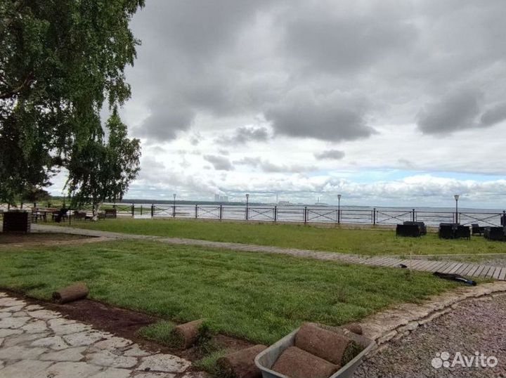 Газон под ключ