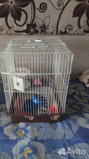 Клетка для грызунов